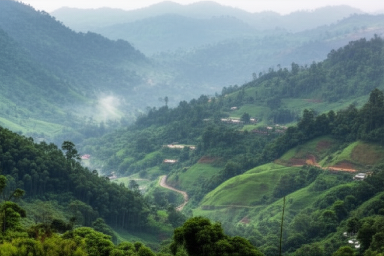 Agumbe: A Hill Station Surrounded by Lush Coffee Plantations