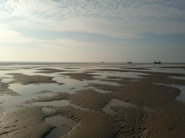 Chandipur Beach: A Perfect Blend of Serenity and Adventure