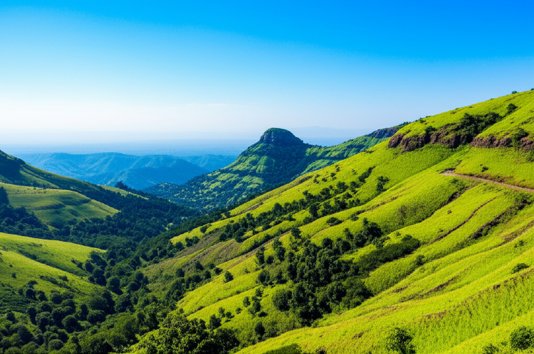 Discover Horsley Hills: A Scenic Hill Station in Andhra Pradesh